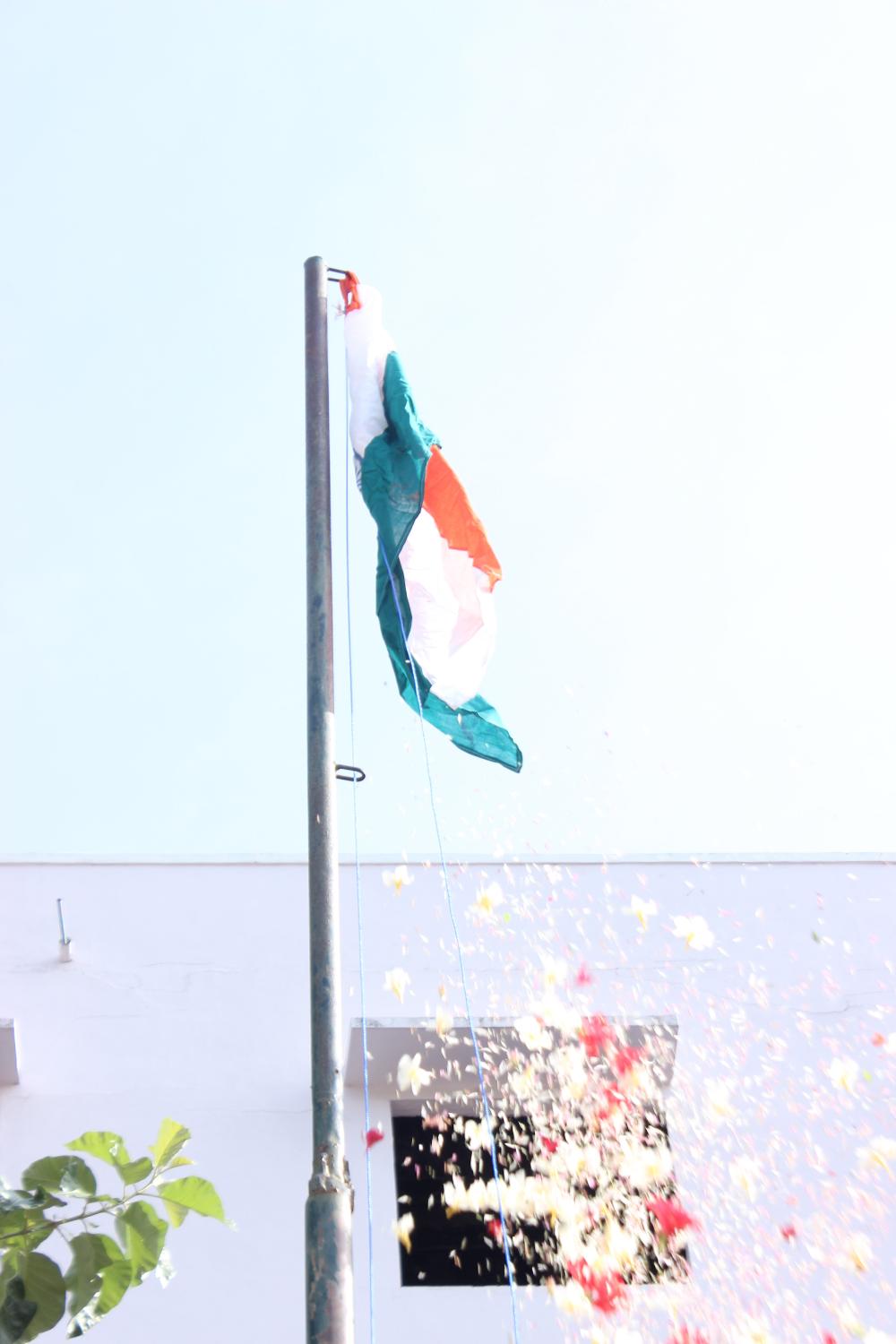 Independence Day 2024